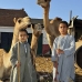 market_camel_embaba_cai_v_0046_egy0309.jpg